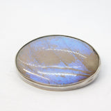 Sterling Silver Morpho Butterfly Wing Set Dress Brooch Antique c1920 Art Deco