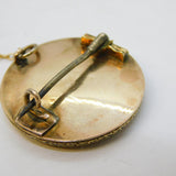 19th Century Scottish 9ct Gold, Agate & Bloodstone Circular Brooch Antique