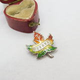 Sterling Silver & Colourful Enamel Ottawa Canada Maple Brooch Antique c1920