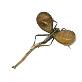 Art Deco Sterling Silver Morpho Butterfly Dragonfly Brooch Antique c1920s