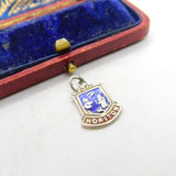 Sterling Silver and Enamel Honiton Travel Shield Charm Pendant Vintage c1970
