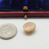 Shell Cameo Lady's Face in Profile Charm Pendant Vintage c1970