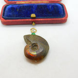 Ammonite Fossil Opal and Jade Pendant Antique Art Deco c1920