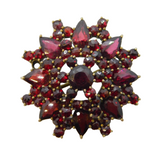 20th Century Austro-Hungarian Silver Gilt Bohemian Garnet Floral Brooch Antique