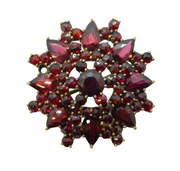 20th Century Austro-Hungarian Silver Gilt Bohemian Garnet Floral Brooch Antique