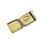 Victorian Sterling Silver Floral Hidden Image Vesta Case Antique 1874 Birmingham