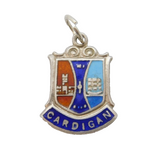 Sterling Silver Enamel Cardigan Charm Pendant Vintage c1970s