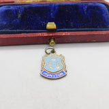 Sterling Silver and Coloured Enamel Travel Shield Honiton Charm Vintage c1970
