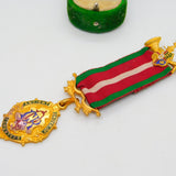 Gilt Metal & Enamel Ancient Order of Foresters Masonic Jewel Medal Antique