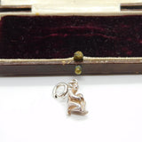 Sterling Silver Aquarius the Water Bearer Charm Pendant Vintage c1970