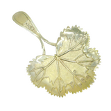 George III Sterling Silver Gilt Naturalistic Leaf Tea Caddy Spoon Antique 1808