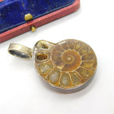 Sterling Silver Mounted Ammonite Fossil Large Pendant Vintage c1950
