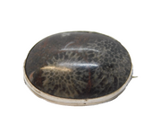 Sterling Silver Mounted Fossiled Leaf Brooch Pin Vintage c1970s