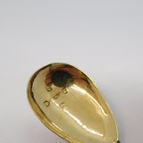 George IV Sterling Silver Mustard Spoon Antique 1830 Birmingham Unite & Hilliard