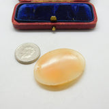 Spare Shell Cameo Woman in Profile Charm Pendant Vintage c1970