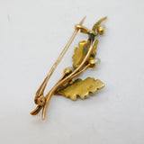 Edwardian 15ct Yellow Gold & Seed Pearl Oak Leaf Acorn Brooch Antique c1910