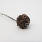 19th Century Sterling Silver Mounted Lucky Nut Terminal Stick Pin Antique c1860