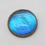 Sterling Silver Morpho Butterfly Wing Circular Brooch Antique c1920 Art Deco