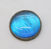 Sterling Silver Morpho Butterfly Wing Circular Brooch Antique c1920 Art Deco