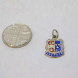 Sterling Silver Enamel Cheddar Shield Charm Pendant Vintage c1970