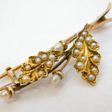 Edwardian 15ct Yellow Gold & Seed Pearl Oak Leaf Acorn Brooch Antique c1910