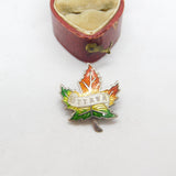 Sterling Silver & Colourful Enamel Ottawa Canada Maple Brooch Antique c1920
