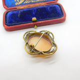 Victorian Rolled Gold Carved Shell Cameo Brooch Pin c1900 Antique