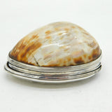 George I Sterling Silver Mounted Cowrie Shell Snuff Box Antique c1720s