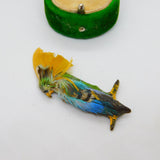 Victorian Natural Feather Parrot Novelty Brooch Pin Antuque c1900 Leather Back