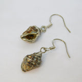 Pair of Sterling Silver Wrapped Natural Seashell Drop Earrings Vintage c1970