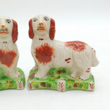 20th Century Staffordshire Pair of King Charles Spaniels Antique c1920
