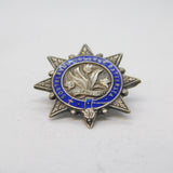 Sterling Silver Enamel Southlands College Battersea Antique 1923 Birmingham