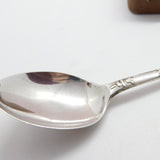 Sterling Silver & Enamel 'Cape Town' Souvenir Spoon 1932 Birmingham Antique