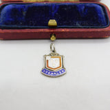 Sterling Silver and Enamel Lochalsh Travel Shield Charm Pendant Vintage c1970