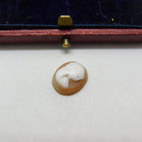 Shell Cameo Lady's Face in Profile Charm Pendant Vintage c1970