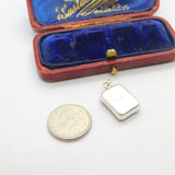 Sterling Silver and Resin Preserved Flowers Charm Pendant Vintage c1970