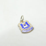 Sterling Silver & Enamel Swansea Wales Charm Pendant Vintage c1970