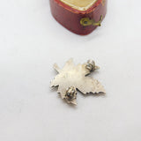 Sterling Silver & Colourful Enamel Ottawa Canada Maple Brooch Antique c1920