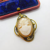 Victorian Rolled Gold Carved Shell Cameo Brooch Pin c1900 Antique