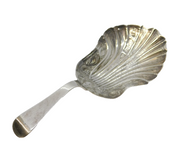 Victorian Sterling Silver Shell Bowl Tea Caddy Spoon Antique c1840 Birmingham