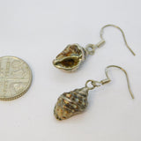 Pair of Sterling Silver Wrapped Natural Seashell Drop Earrings Vintage c1970