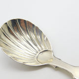 Victorian Sterling Silver Shell Pattern Tea Caddy Spoon Antique 1871 London