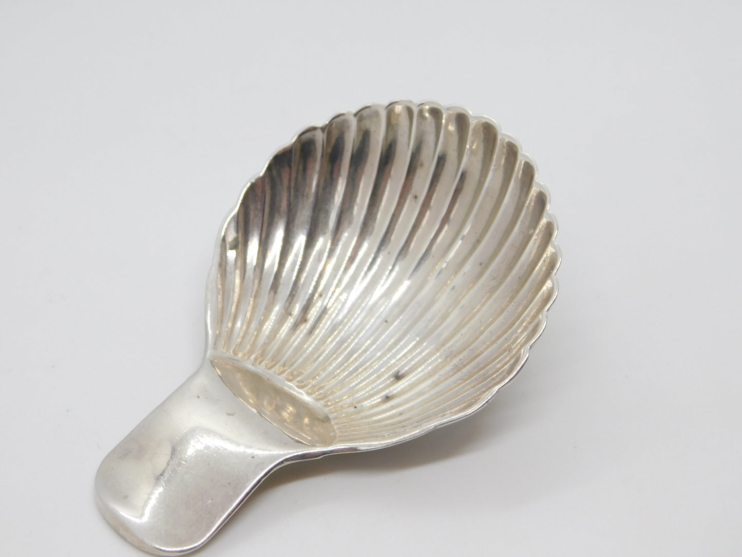 Early Victorian Dutch Sterling Silver Scallop Shell Bowl Tea Caddy Spoon c1840