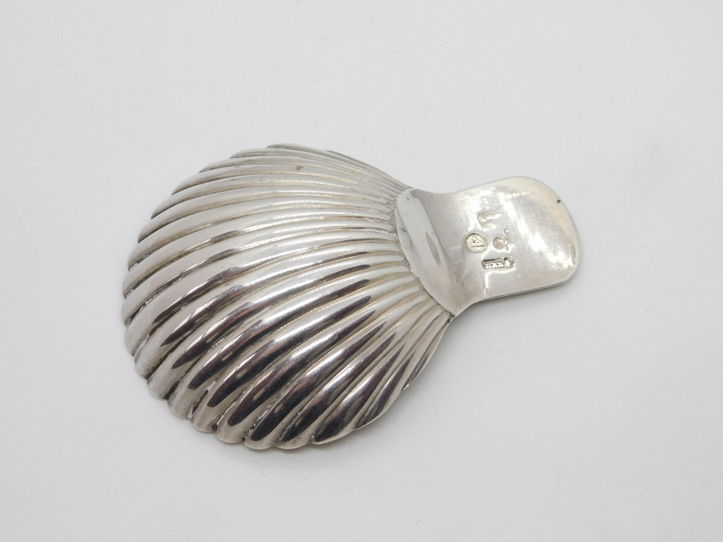 Early Victorian Dutch Sterling Silver Scallop Shell Bowl Tea Caddy Spoon c1840