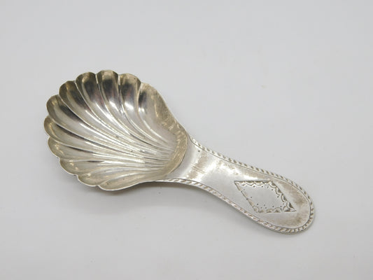 Georgian Dutch Sterling Silver Bright Cut Scallop Tea Caddy Spoon 1836 Antique