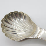 Georgian Dutch Sterling Silver Bright Cut Scallop Tea Caddy Spoon 1836 Antique