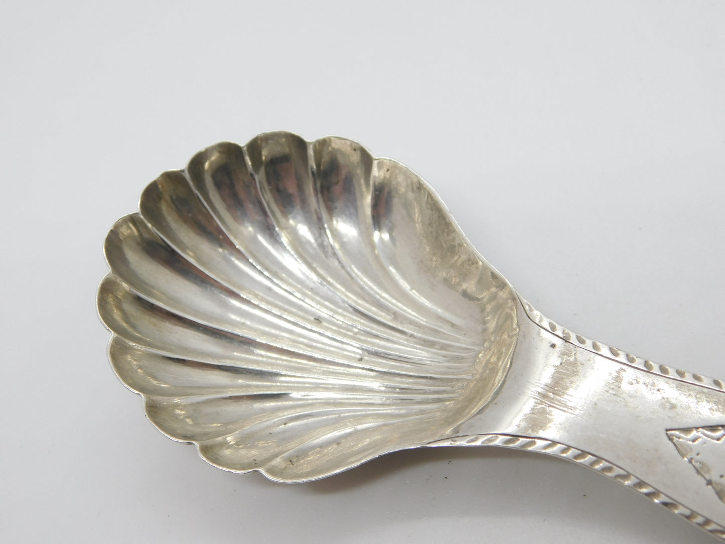 Georgian Dutch Sterling Silver Bright Cut Scallop Tea Caddy Spoon 1836 Antique