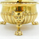 George III Sterling Silver Gilt Large Rococo Lion Mask Mustard Pot Antique 1802 London