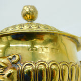George III Sterling Silver Gilt Large Rococo Lion Mask Mustard Pot Antique 1802 London