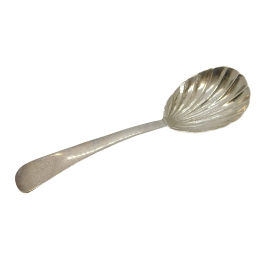 George IV Sterling Silver Shell Bowl Tea Caddy Spoon Antique 1822 London